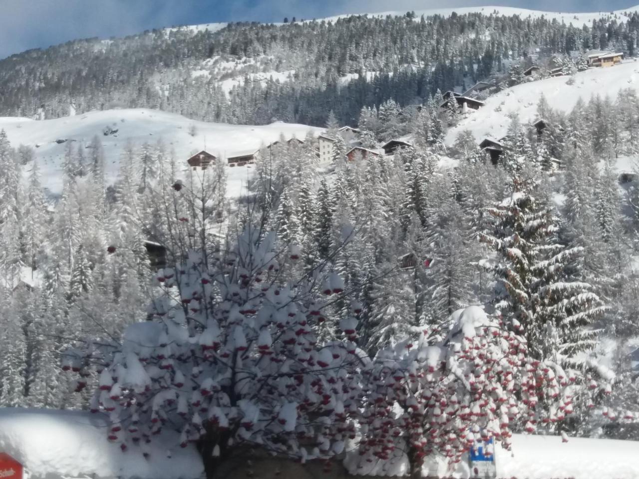 Hotel Piz Ela Bergun Davos Extérieur photo
